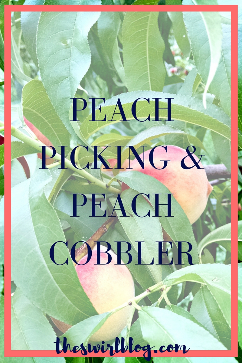 Peach Picking and Peach Cobbler Recipe