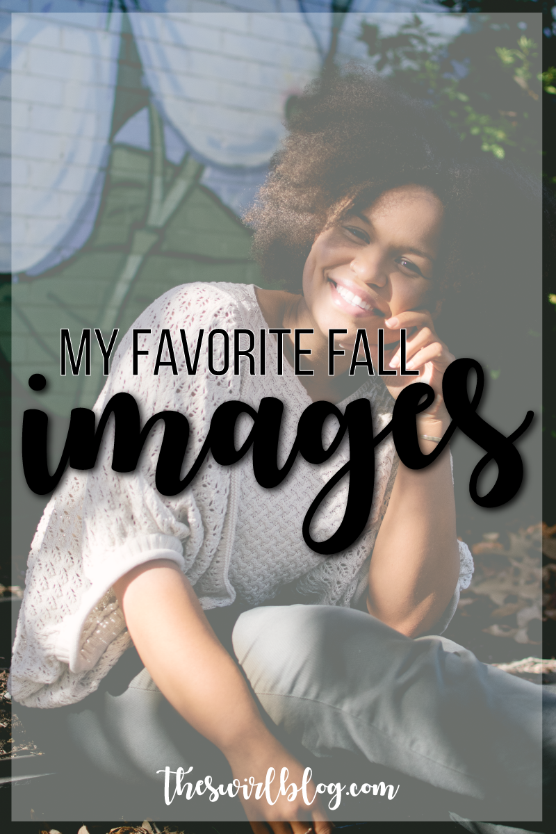 My Favorite Images from Fall 2017!
